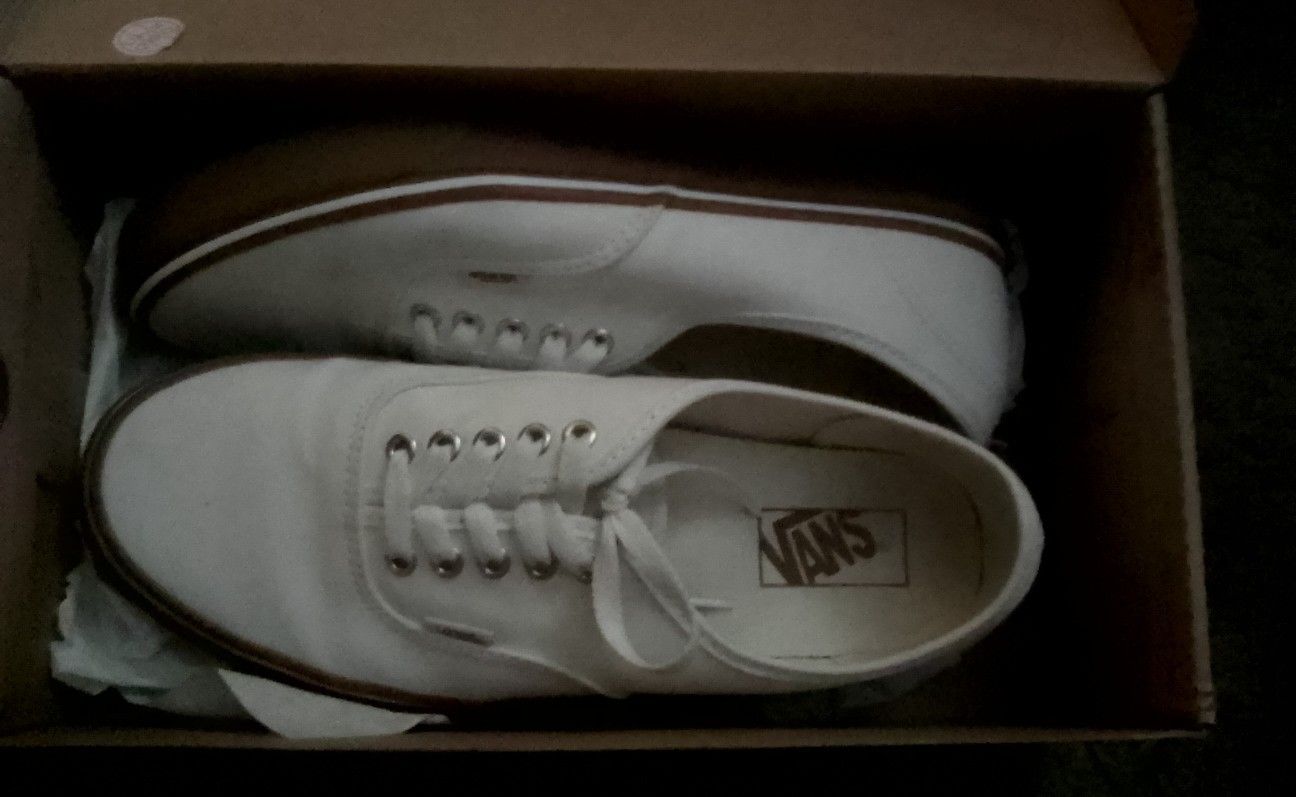 Vans Mens Shoes Size 10