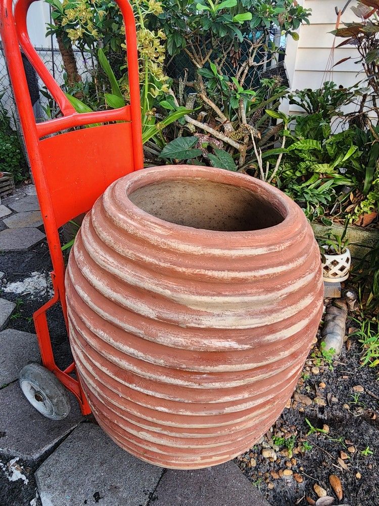 Lagre Pottery Planter $100.00 OBO