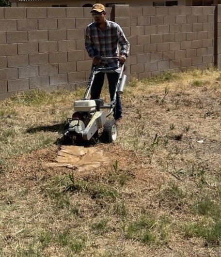 Stump Grinding