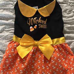 Medium Dog Dress