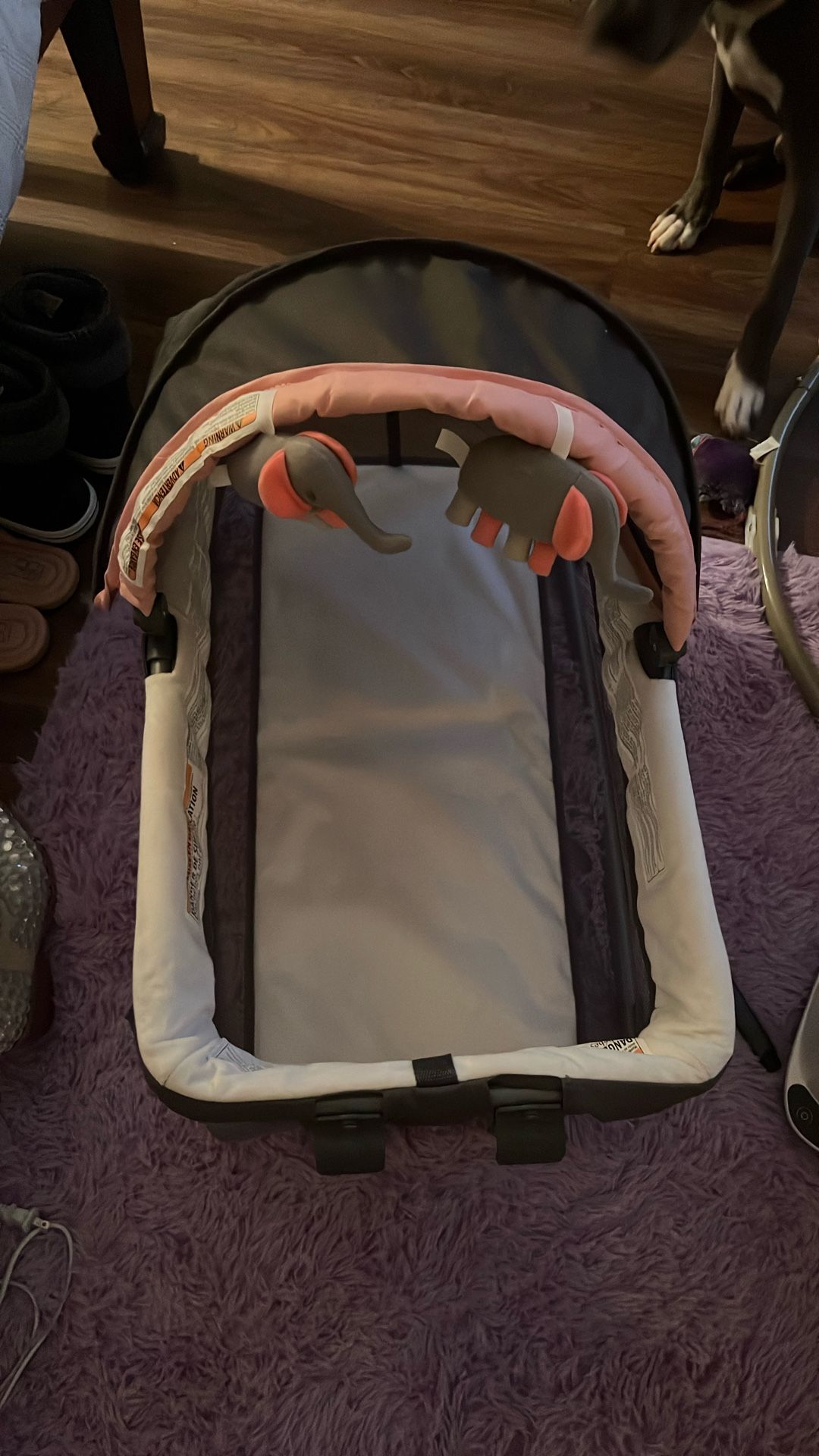 Bassinet Seat/rocker