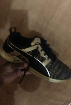 Gold and black pumas