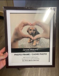 8x10 Picture Frame Photo 12 pcs Frame Matted Thick Dark Wood Hangable