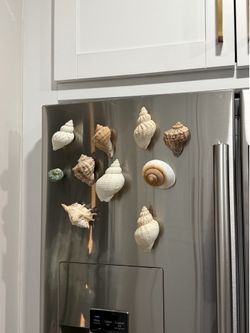 Shell magnets