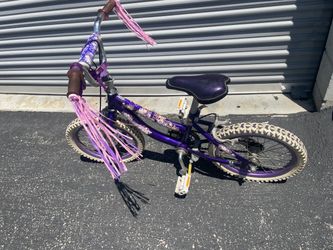 Purple Kids Bike with Streamers