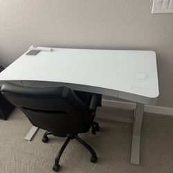 47” Tresanti Adjustable Sit Stand Desk