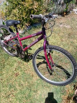Raleigh Mountain Scout, Just Tuned Up