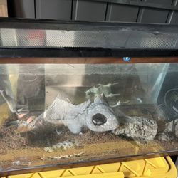 Reptile Tank