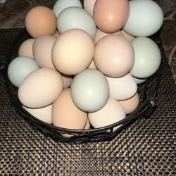 Organic Cage-Free Eggs