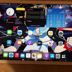 iPad Air 2