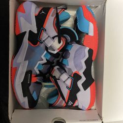 Brand New  Jordan Why Not?