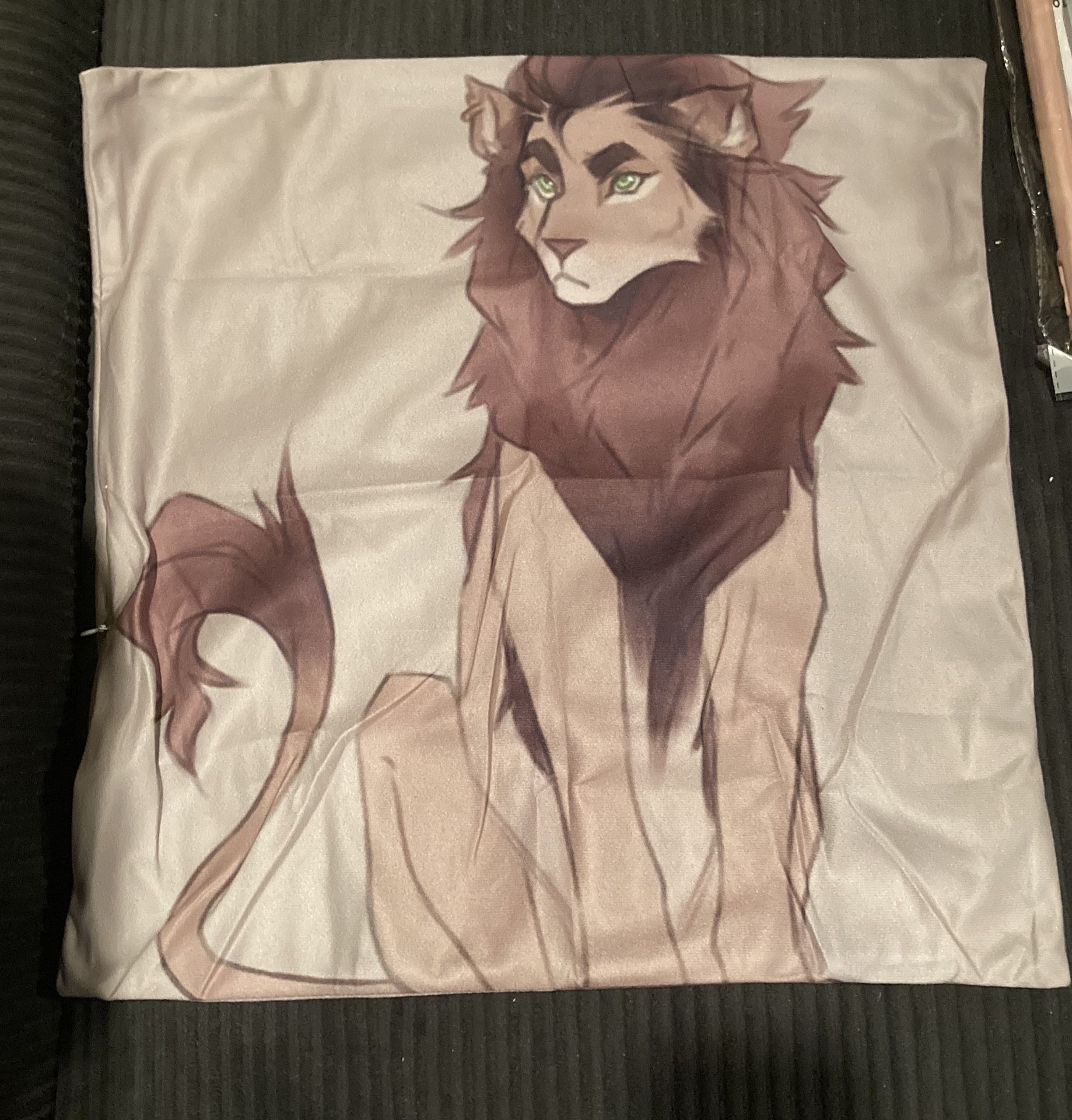 18x18 inch zipper pillow case