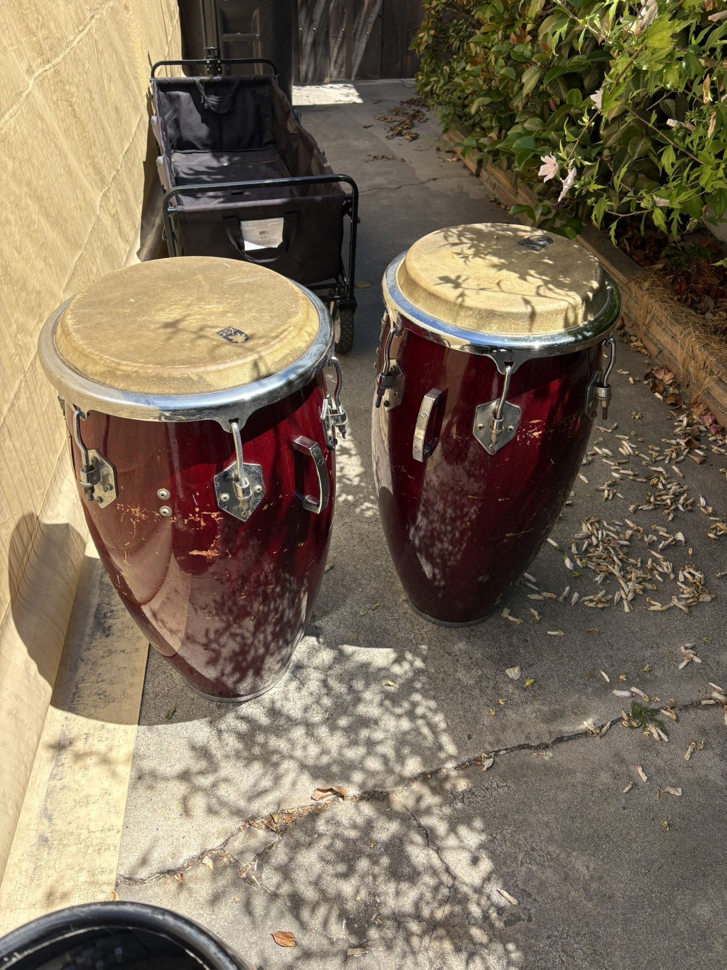 Two Toca Congas