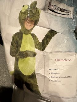 FunCostumes Kids Chameleon Halloween Costume