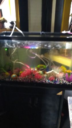 40gal fish tank and stand Thumbnail