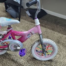 Little Girls Bike With Training Wheels