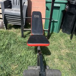 Weight Bench and Weights