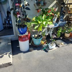 Plant Sale Going On Today!!!!!