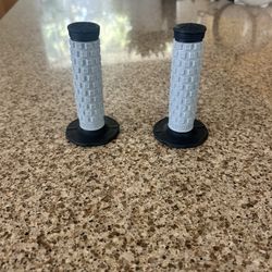 PROTAPER Grips