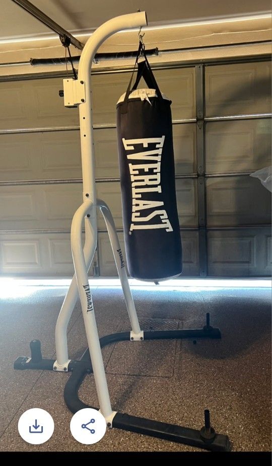 Punching Bag W/speed Bag