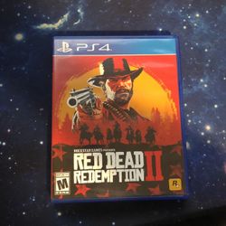 Barely Opened Red Dead Redemption 2!