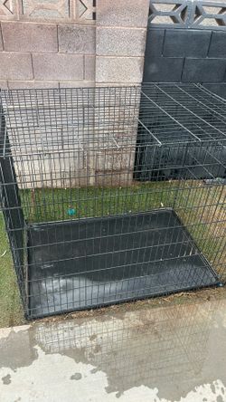Dog Kennel