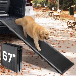 Dog Ramp