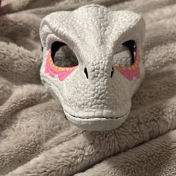 Painted Dino Mask 