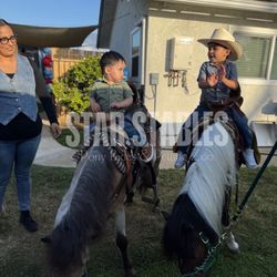 Pony Rides Petting Zoo 