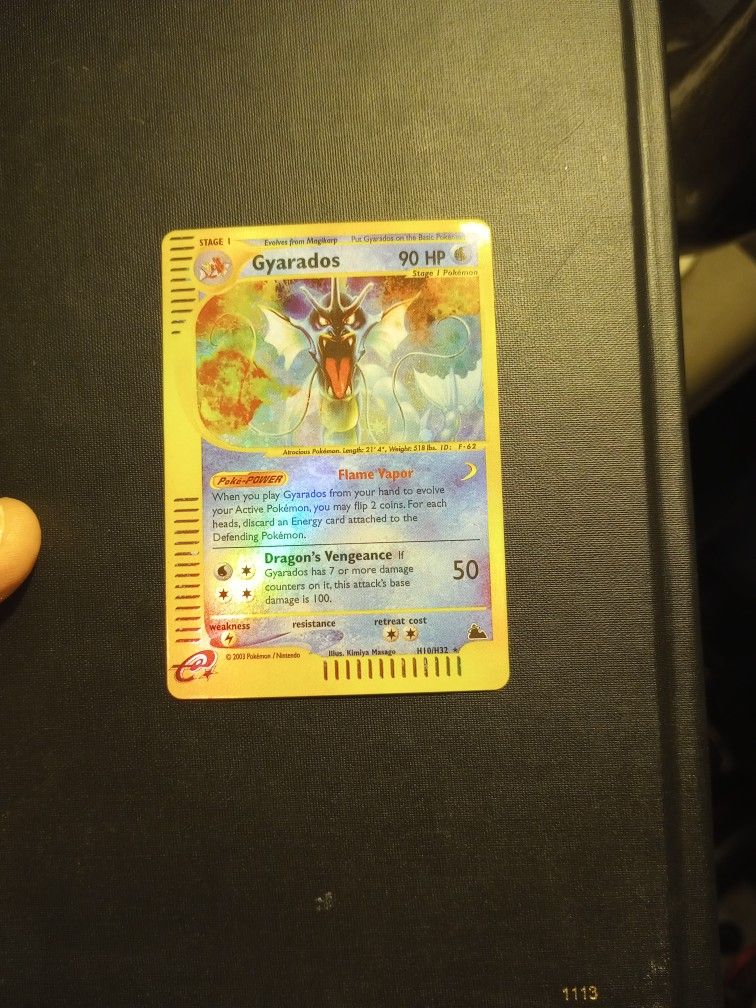 Gyarados Skybridge Proxy Birthday Gift