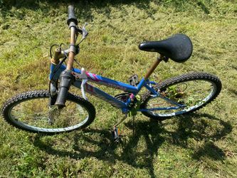 Bike.. needs little work
