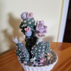 Cactus Porcelain 
