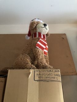 2 Christmas Lights  Dogs  