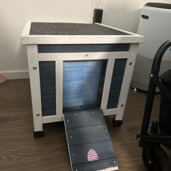 Dog Or Cat House 