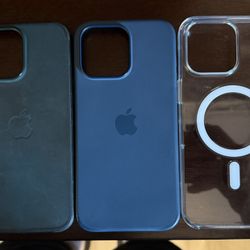 Apple iPhone 15 Pro Max Cases