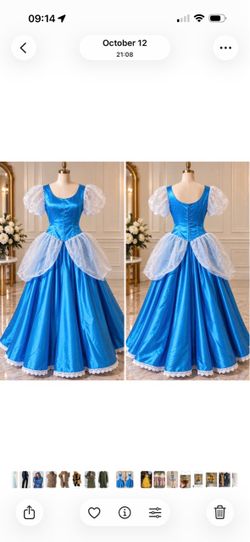 Blue Princess Ball Gown Costume Dress L