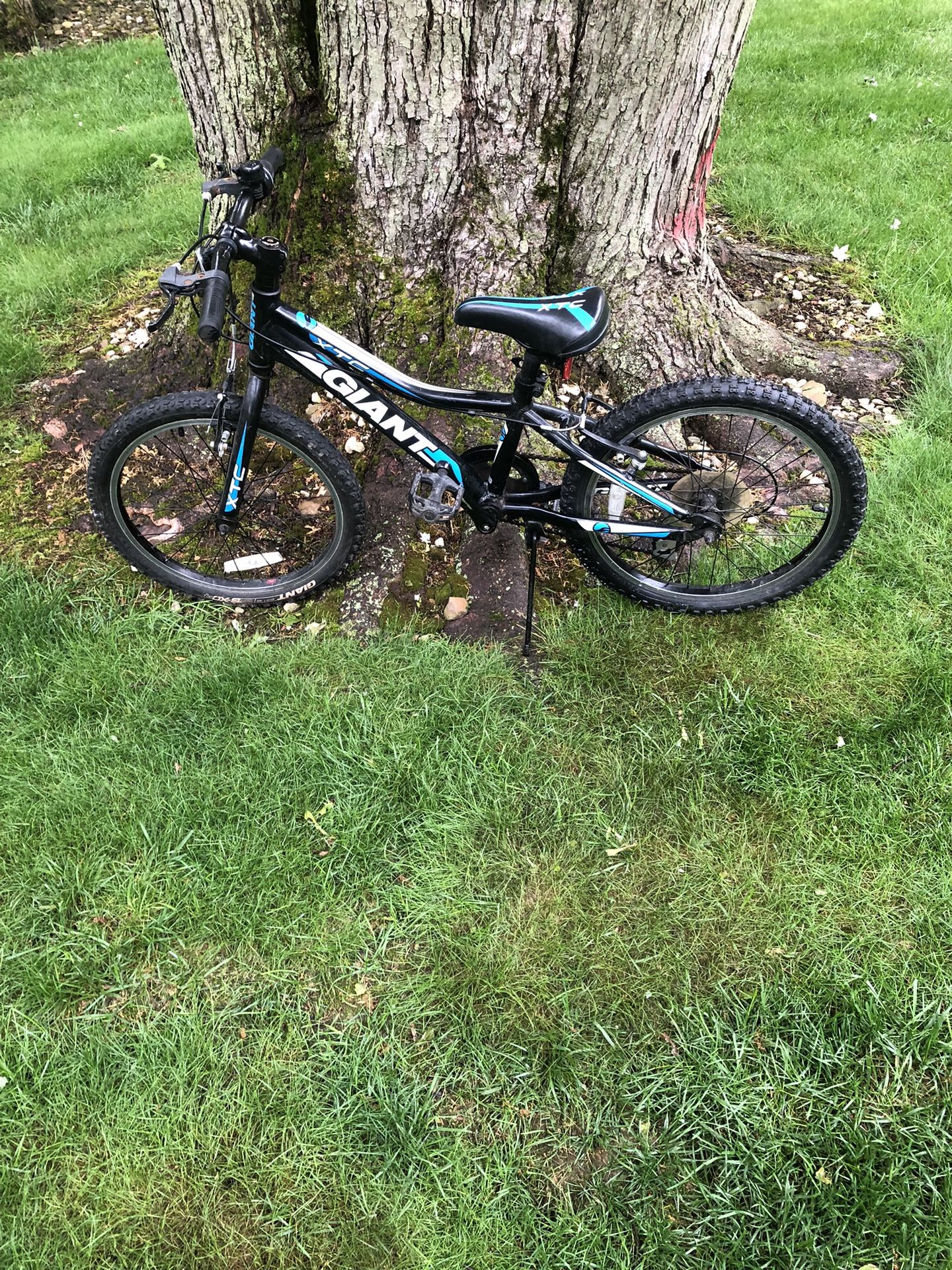 20” Giant Mountain Bike