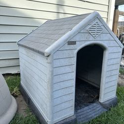 Dog House 
