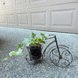 Vintage Wrought Iron  Bicycle  Plant Holder with Perennial gold Child Ivy Plant 
