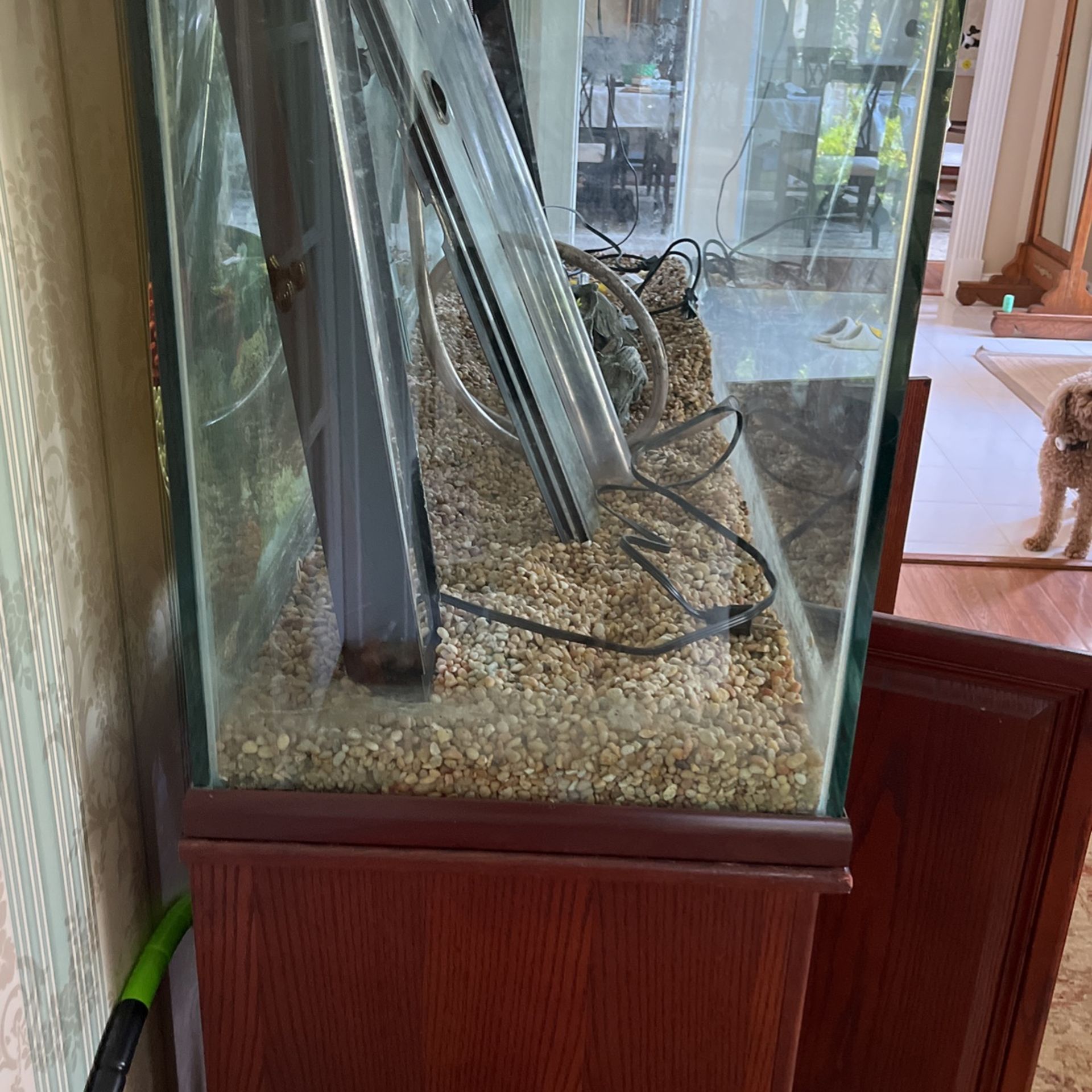 150 Gallon Fish Tank!!
