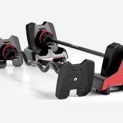  Bowflex SELECTTECH 2080 BARBELL WITH CURL BA