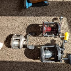 Fishing Reels