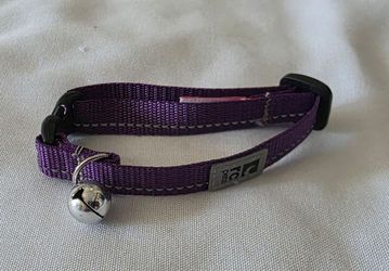 Purple cats collar with bell