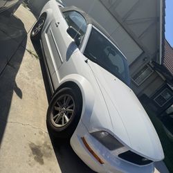 2006 mustang conv. Read Before Contacting