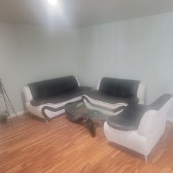 Black And White Couches 