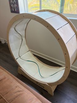 Cat wheel