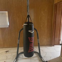 Everlast  Punching Bag