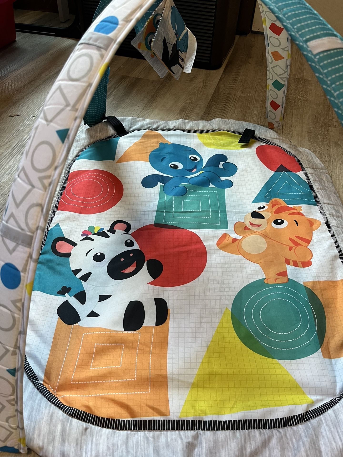 Baby Play Mat