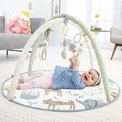 Skip Hop Carter’s Activity Gym