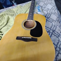 RogueAcoustic Guitar 